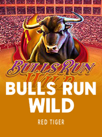 Bulls-Run-Wild